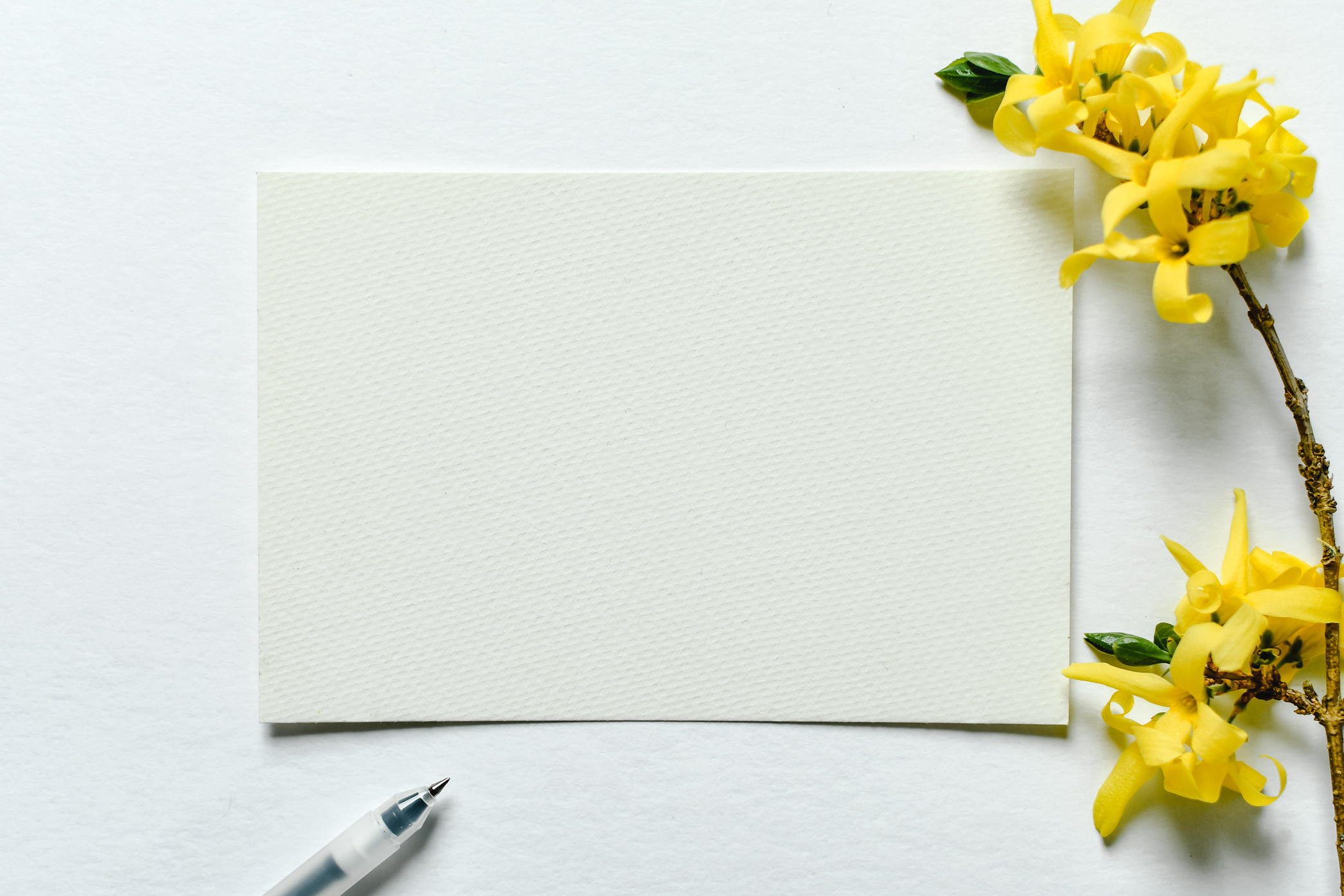 Yellow Flower on White Paper